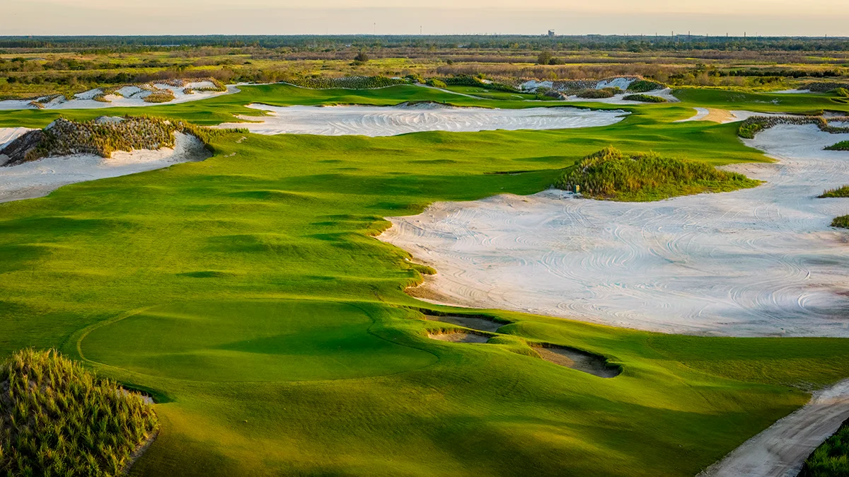 5 green at Bone Valley