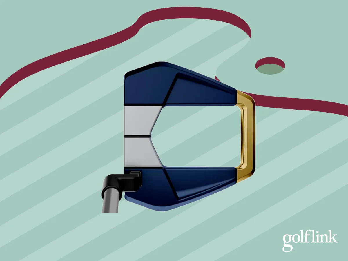 Best Putter for Women: TaylorMade Kalea Gold Spider S