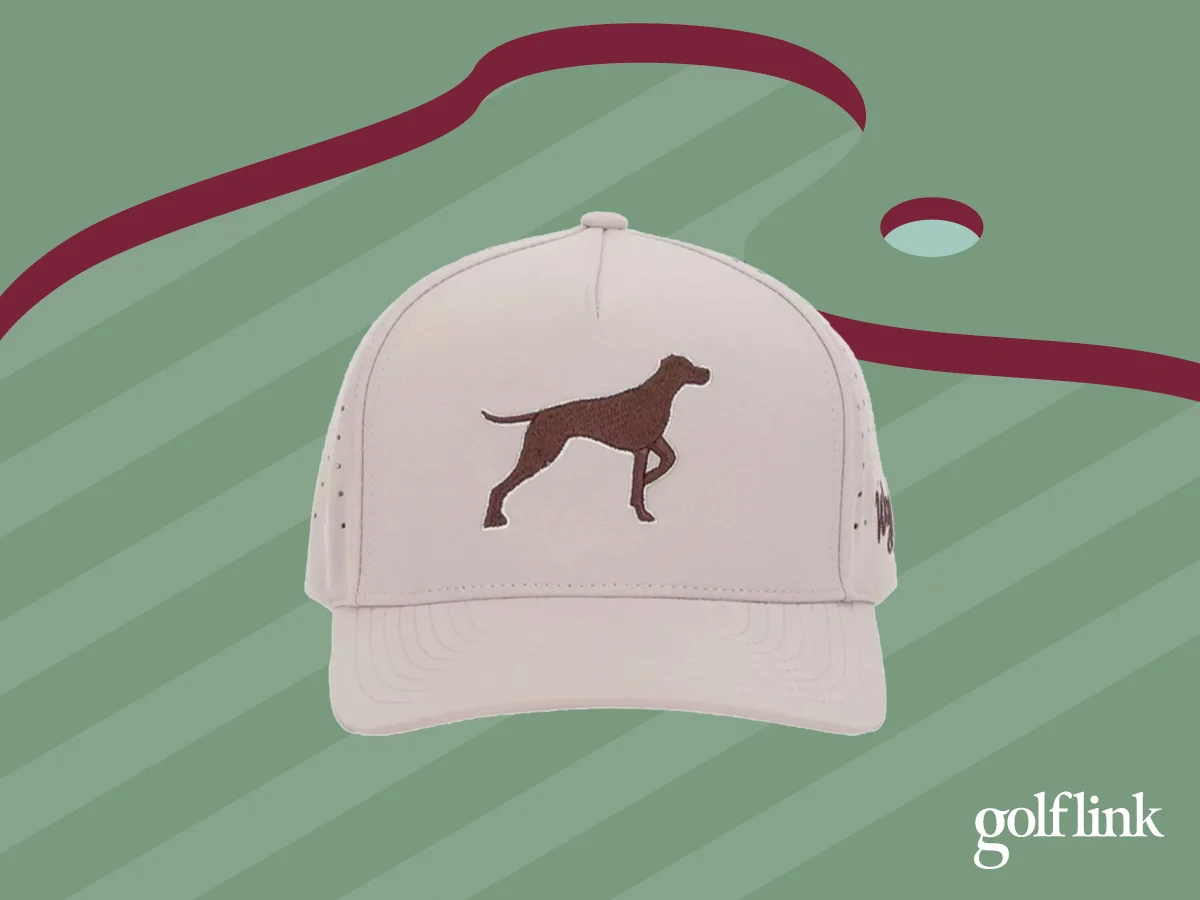 Waggle Bird Dog snapback hat