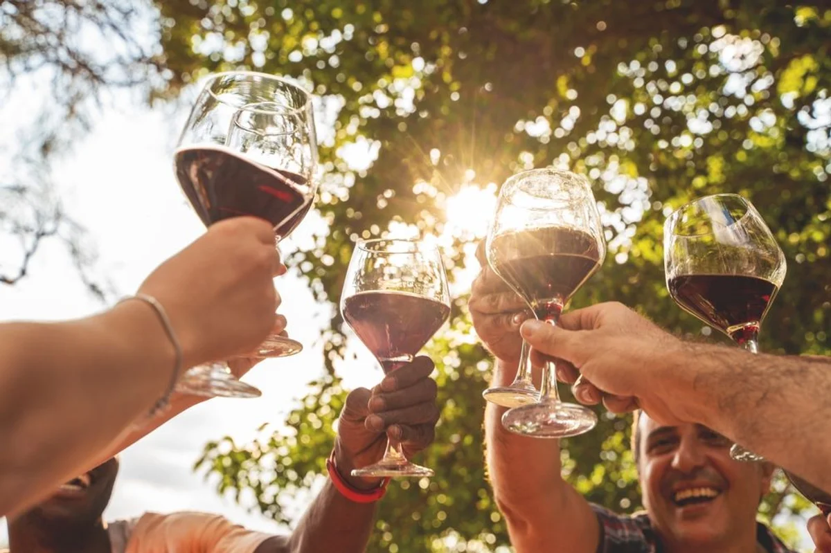 Group of people toasting with wine